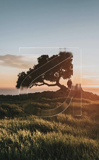 hp_carousel_03
